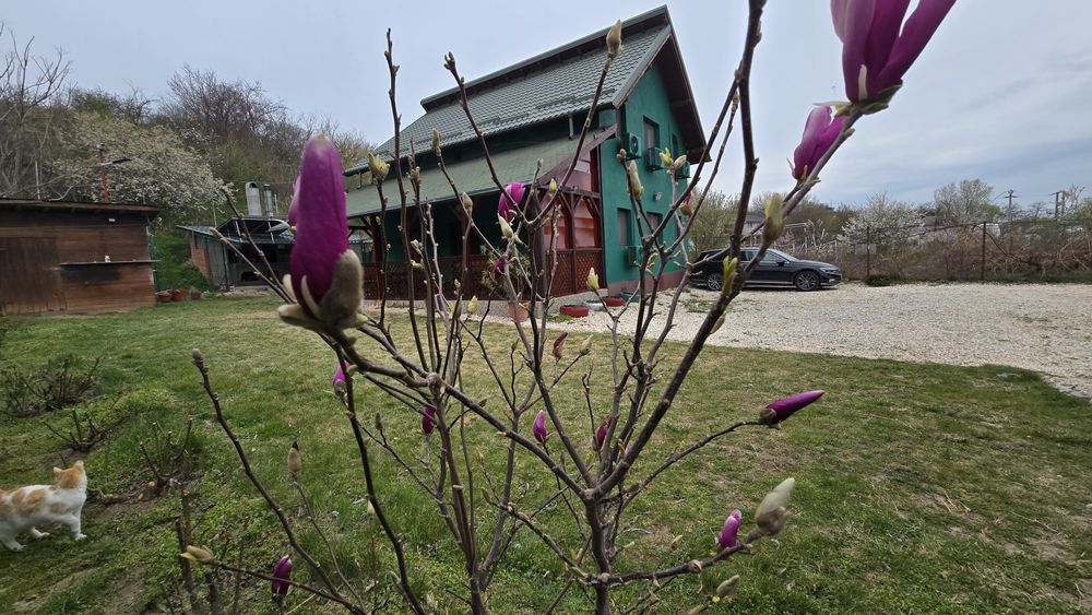 Casa de vacanta Delta dunarii .