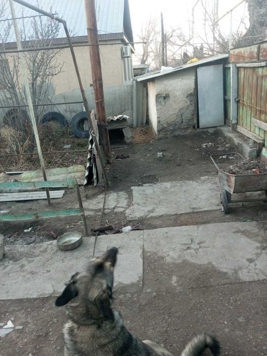 Подаётся дом (5 комнат)