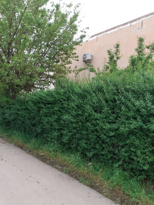 Продам 2ком г Янгиюль дом 2 квартира 3 с евро ремонтом  58,3 кв метров