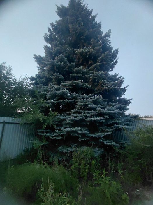 Продам или обменяю дом