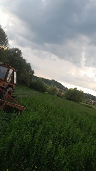Baloti de lucerna