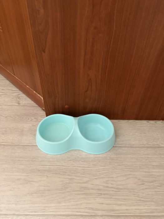 продаю котенка в хорошие руки
