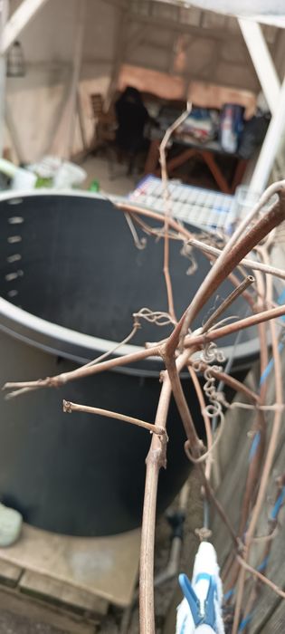 Butoi irigație prin picurare - 500l.