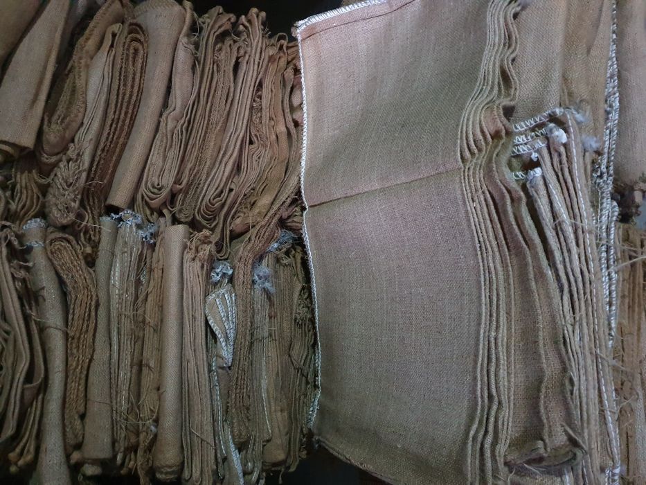 saci iuta ne inscriptionati