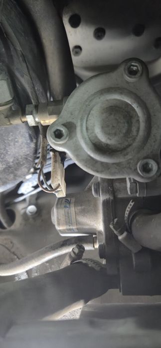 ГБО.моргаплдлтрпми