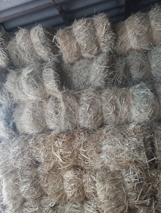 Сомон ва хашак сотилади