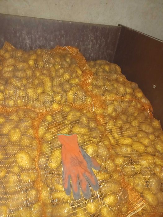 Vand cartof semiconsum