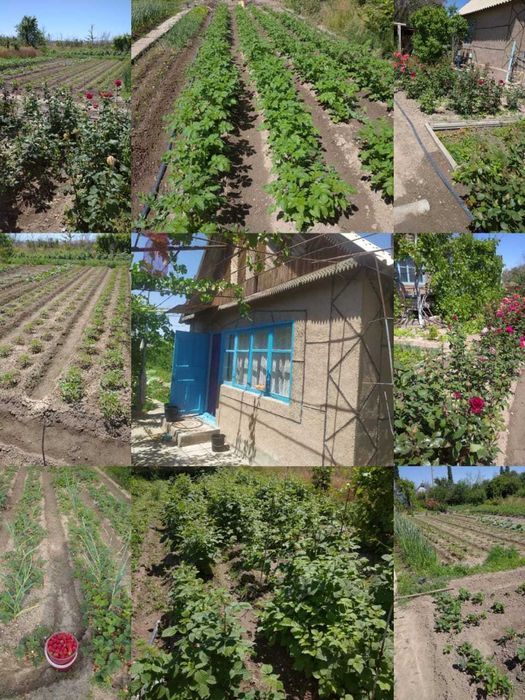 Продается дача срочно