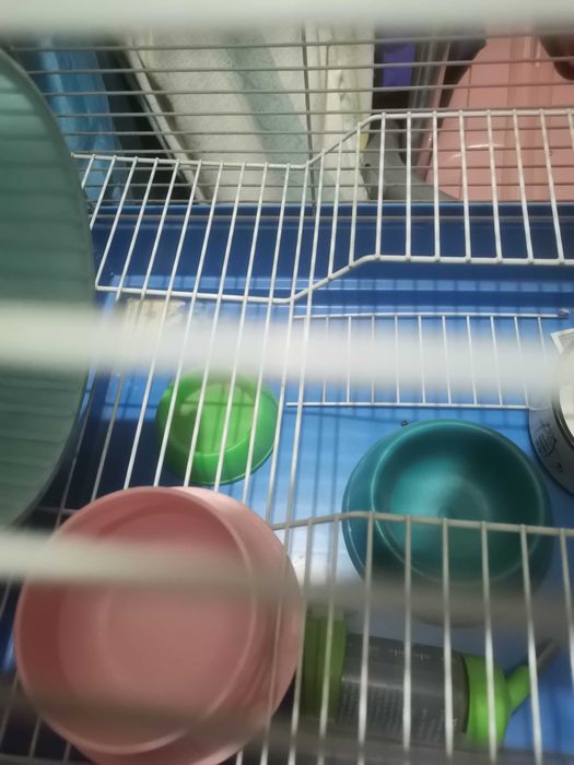 Большая клетка для хомяков