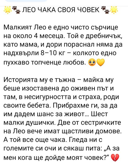 Подарява се бебе Лео