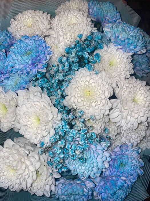 большой букет хризантем