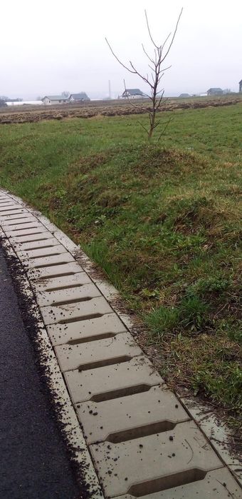 Teren intravilan de vanzare 1500 mp front 29in oraș salcea județ Suceava strada paieni Nr 30 A
