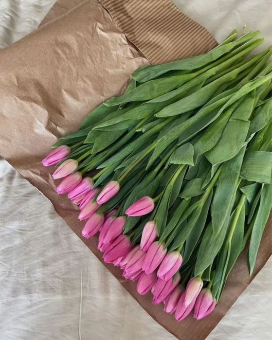 •Цветы цветы цветы цветы цветв