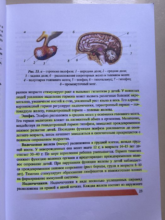 Книга по биологии 8 класс