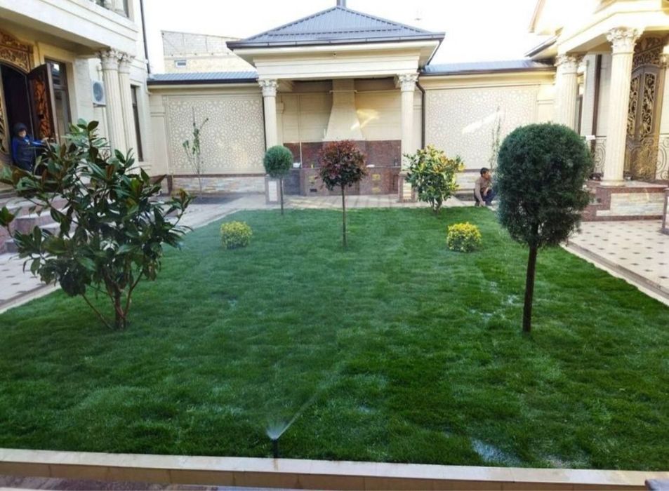 Gazon   Rulon.    Yevro   urug.   ishonchli  sepip berish va yotgizish