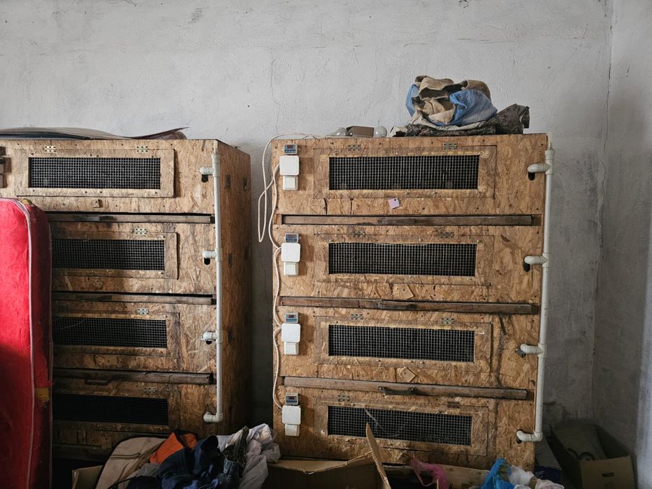 Клетки для кур металлические