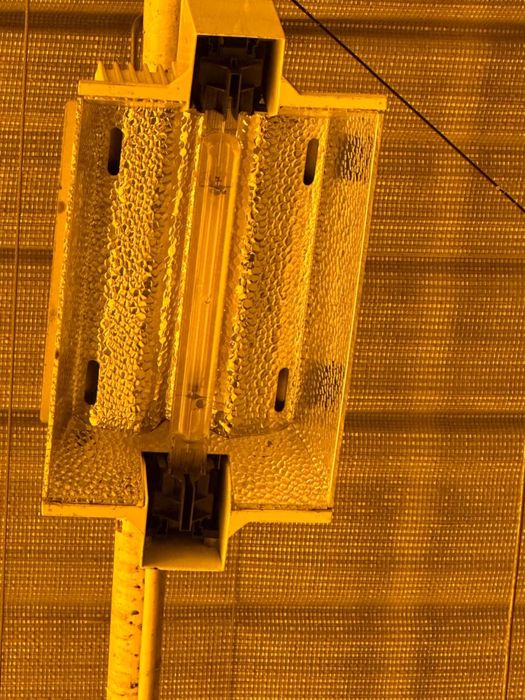 Лампы для теплицы (голландские)