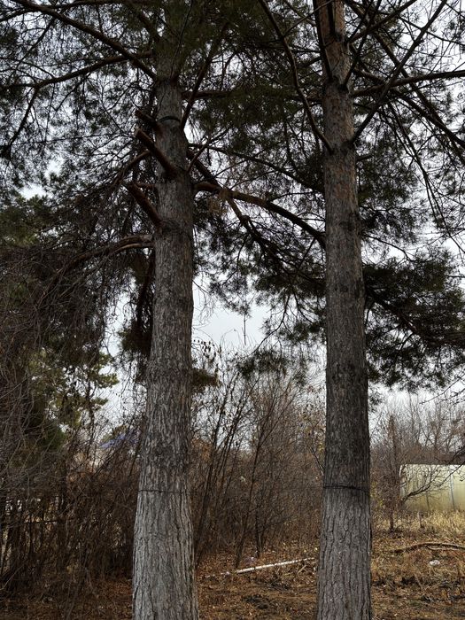 Продам дачу (район Келещек )