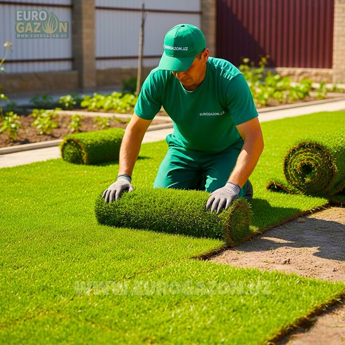 Купить газон в рулонах — быстро, Ташкент