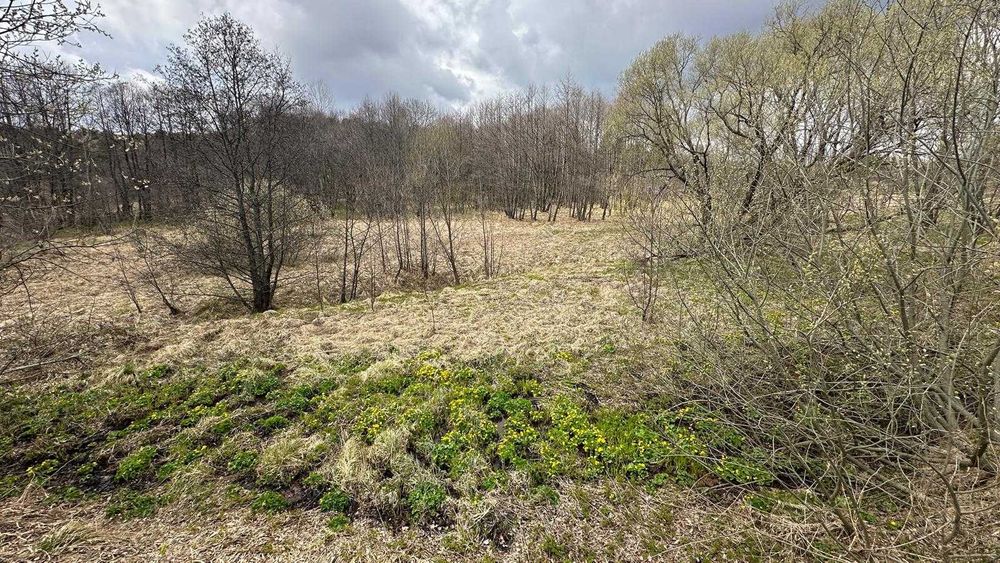 Proprietar vand teren in Brebu Nou 2877 mp