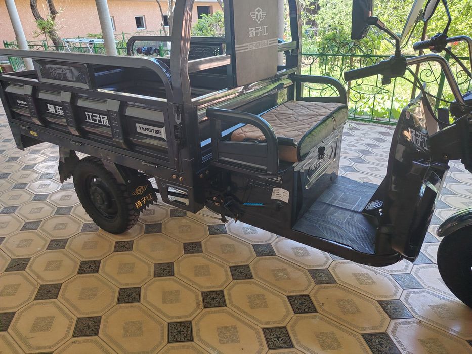 Трицыкол муравей