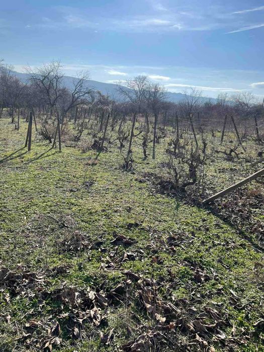 Вила в местността Ляската