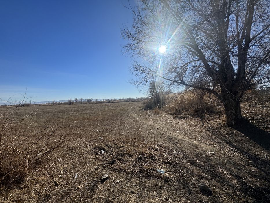 В аренду поливная земля