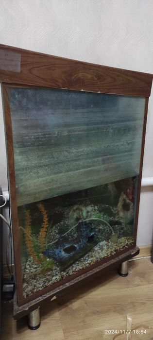 Аквариум для рыбок