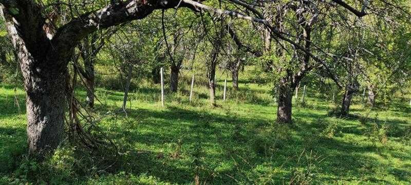 Продават се 3 земеделски имота (поземлени)