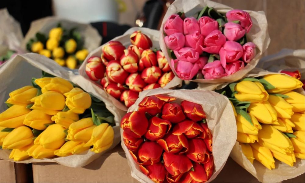 Тюльпаны / цветы/ предзаказ