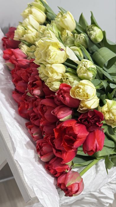 Тюльпаны по 750 тг пионовидные