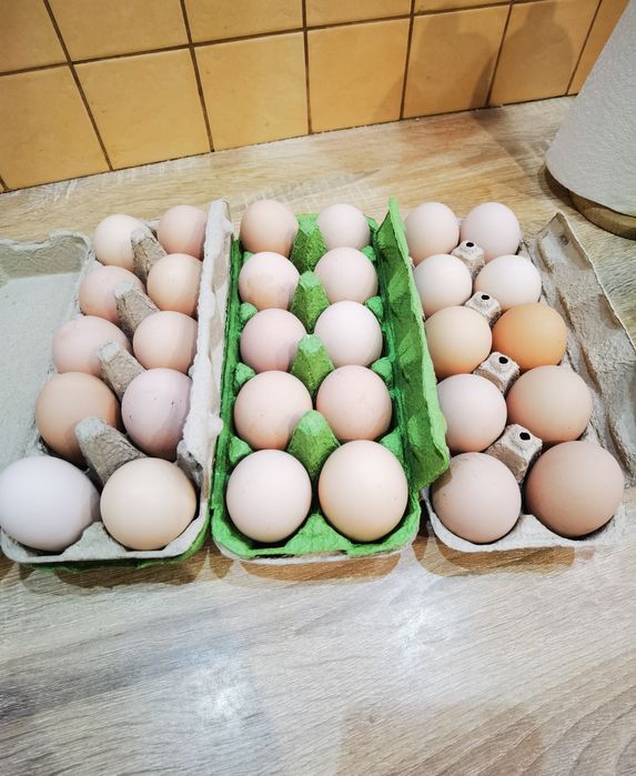 Vand oua de găină.