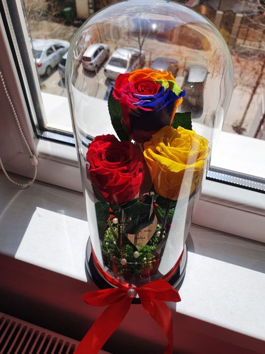 Cupola cu 3 trandafiri criogenati