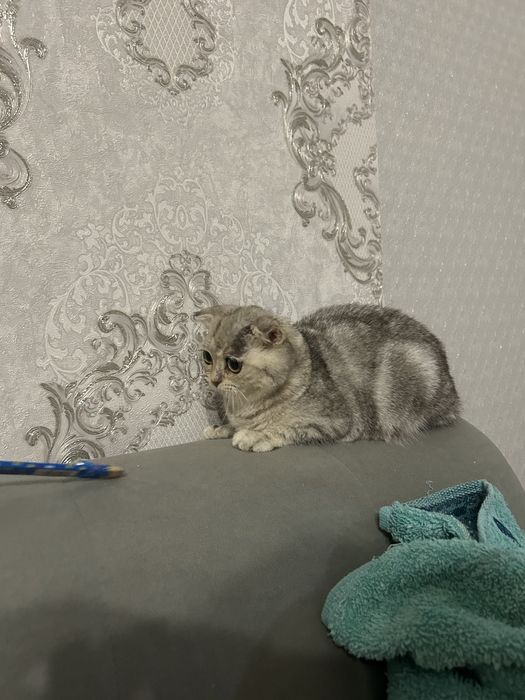 Читайте описание прежде чем писать