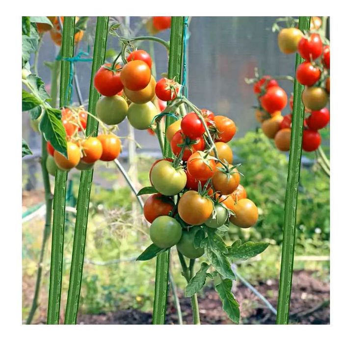 Метални колове за домати Ф20/210 см PVC покритие | Отстъпки | Вносител