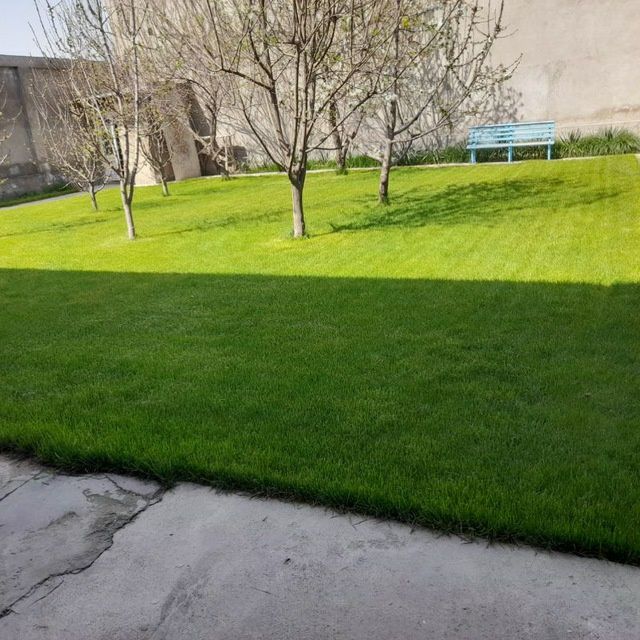 Газон ва гуллар хизмати