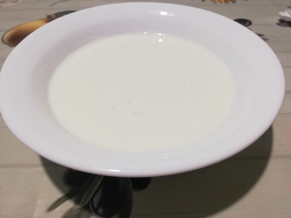 Жива кефирена гъба / Кефир