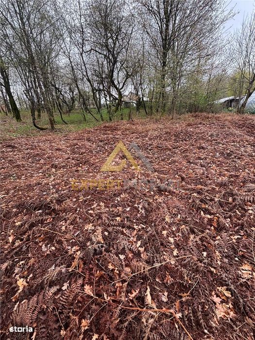 Teren intravilan in spate la Castel Transilvania 1.000mp