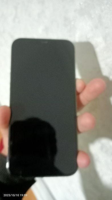 12 pro max ideal holatda