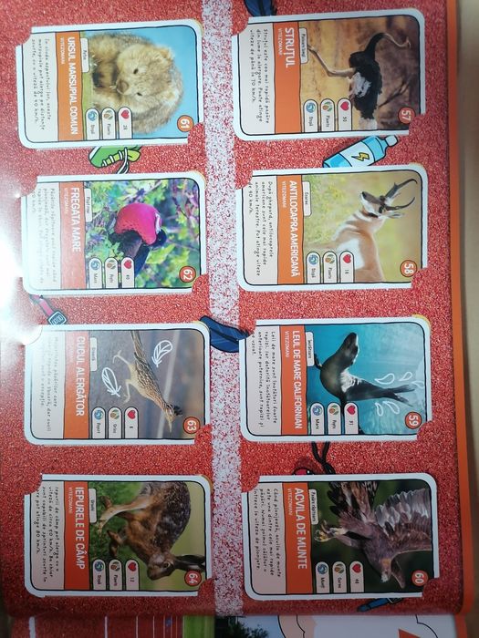 Album Expeditie 2 cu 96 cartonase + 96 cartonase Editia 1 + Boxa zoo