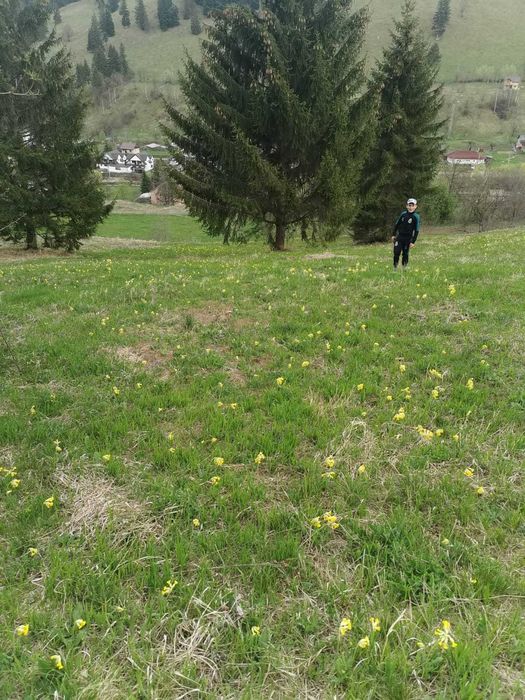 Teren intravilan în Comuna Ceahlău