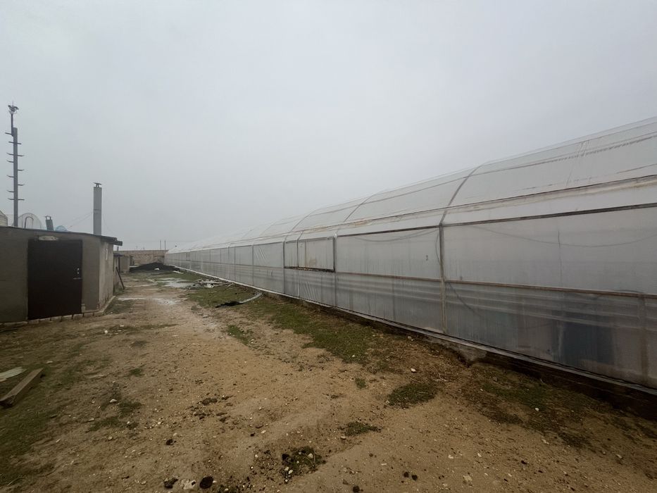 Теплицы срочно сатылады