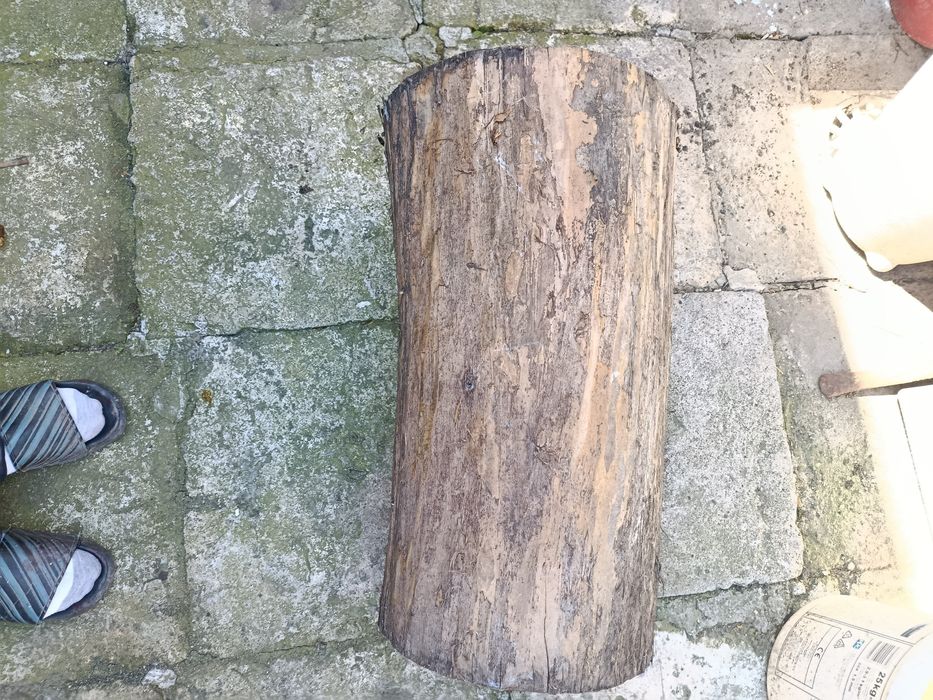 Vând trunchi de copac nuc crcuferinta120 lu 70 cm grosime 40 cm