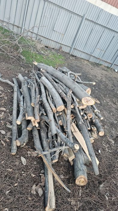 Дрова бесплатно  даром