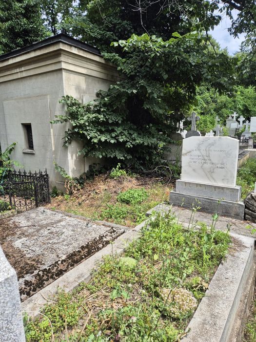 Loc veci Bellu 4.25 mp