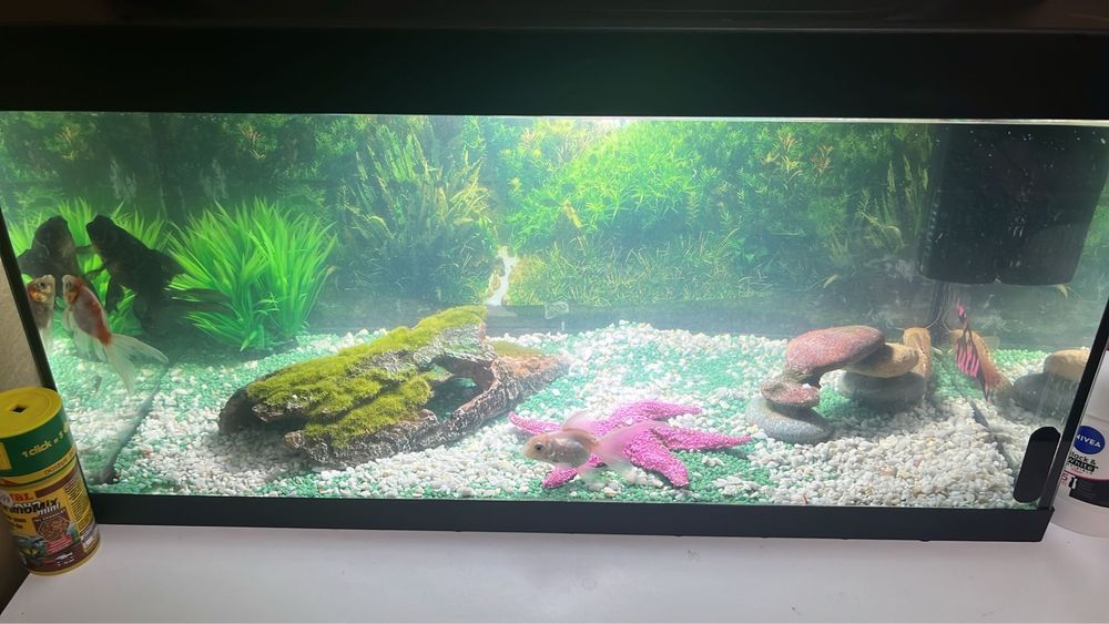 Acvariu capac cu led si filtru.