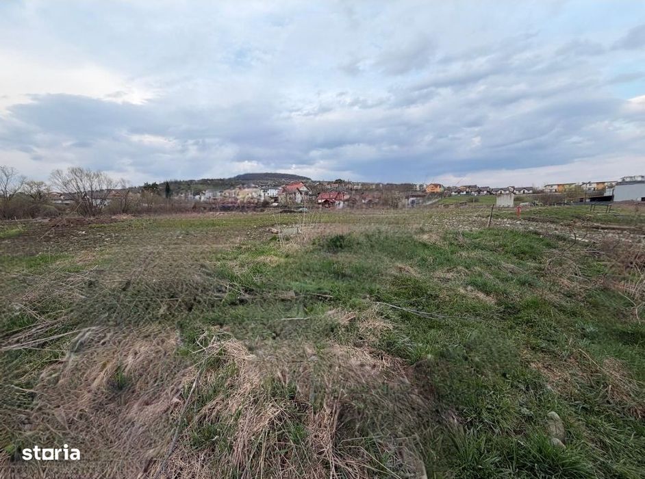 17.000 mp teren intravilan+hale 2.000 mp-Drumul Tărpiului  BISTRITA