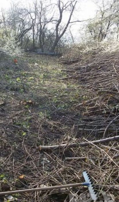 Почистване на мазета, стари къщи и дворове