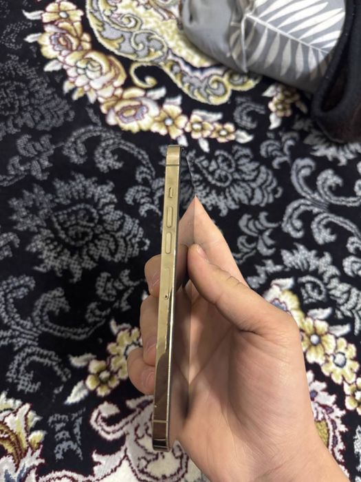 Iphone 13 pro max 256