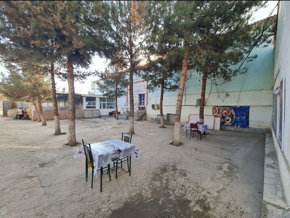 1-Liniya 5,5 sotix Noturar daromadli mulk